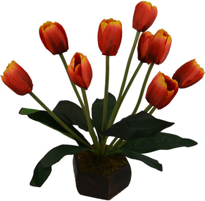

Fancymart FP-0794-621 Multicolor Tulips Artificial Flower with Pot(5 inch, Pack of 1)