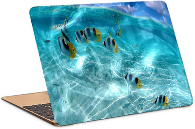 

PRINTCLUB Fish Laptop Sticker 15.6 inch-Laptop Skin-2018-150 Vinyl Laptop Decal 15.6