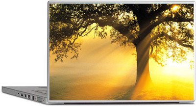 

PRINTCLUB Tree Laptop Sticker 15.6 inch-Laptop Skin-2018-215 Vinyl Laptop Decal 15.6