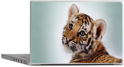 PRINTCLUB Cute Tiger Laptop Sticker 15.6 inch-Laptop Skin-2018-146 Vinyl Laptop Decal 15.6
