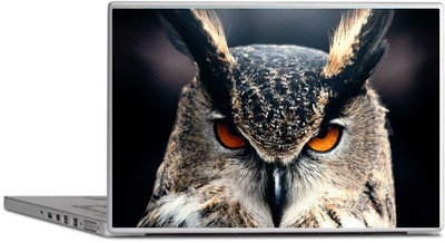 

PRINTCLUB OWL Laptop Sticker 15.6 inch-Laptop Skin-2018-231 Vinyl Laptop Decal 15.6