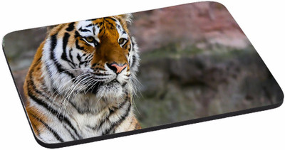 

PRINTHUBS High Quality Waterproof Coating Gaming Mouse Pad (Multicolor) -278 Mousepad(Multicolor)