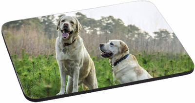 

PRINTHUBS High Quality Waterproof Coating Gaming Mouse Pad (Multicolor) -280 Mousepad(Multicolor)