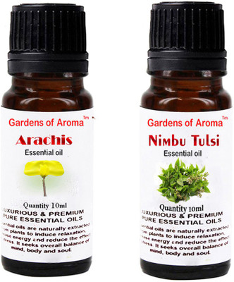 

Gardens Of Aroma Arachis Essential Oil And Nimbutulsi Essential Oil(20 ml)