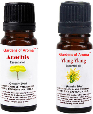 

Gardens Of Aroma Arachis Essential Oil And Ylang Ylang Essential Oil(20 ml)