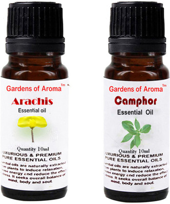

Gardens Of Aroma Arachis Essential Oil And Camphor Essential Oil(20 ml)