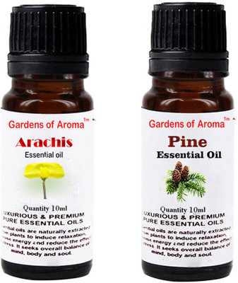 

Gardens Of Aroma Arachis Essential Oil And Pine Essential Oil(20 ml)