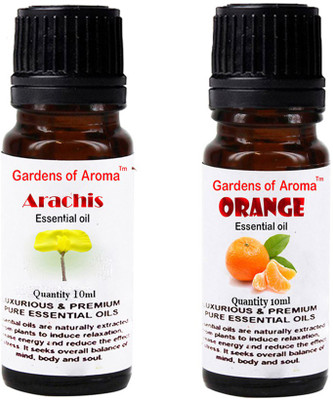 

Gardens Of Aroma Arachis Essential Oil And Orange Essential Oil(20 ml)