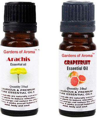 

Gardens Of Aroma Arachis Essential Oil And Grapefruit Essential(20 ml)