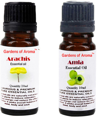 

Gardens Of Aroma Arachis Essential Oil And Amla Essential Oil(20 ml)