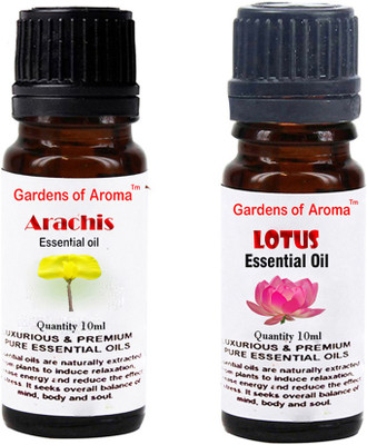 

Gardens Of Aroma Arachis Essential Oil And Lotus Essential Oil(20 ml)