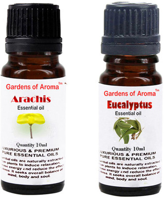 

Gardens Of Aroma Arachis Essential Oil And Eucalyptus Essential Oil(20 ml)