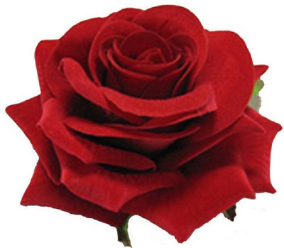 

ODD MART Red Velvet Rose Hair Flower Clip and Pin Brooch (Pack of 2 pieces) Hair Clip (Red) Bun Clip(Red)