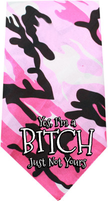 

Mirage Pet Products Bandana for Dog(Pink