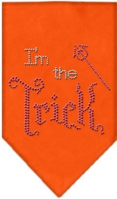 

Mirage Pet Products Bandana for Dog(Orange