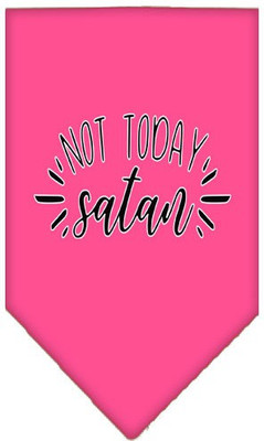 

Mirage Pet Products Bandana for Dog(Bright Pink