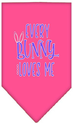 

Mirage Pet Products Bandana for Dog(Bright Pink