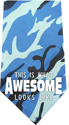 

Mirage Pet Products Bandana for Dog(Blue