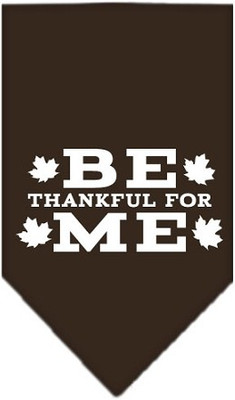 

Mirage Pet Products Bandana for Dog(Brown