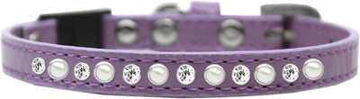 

Mirage Pet Products Dog & Cat Everyday Collar(, Purple