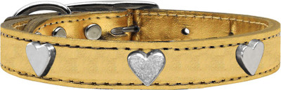 

Mirage Pet Products Dog Everyday Collar(, Gold