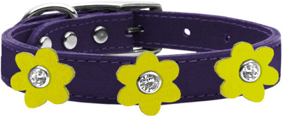 

Mirage Pet Products Dog Everyday Collar(, Purple
