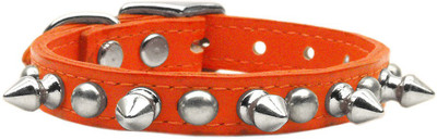 

Mirage Pet Products Dog Everyday Collar(, Orange