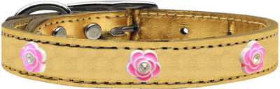 

Mirage Pet Products Dog Everyday Collar(, Gold
