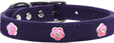 

Mirage Pet Products Dog Everyday Collar(, Purple