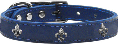 

Mirage Pet Products Dog Everyday Collar(, Blue
