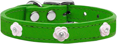 

Mirage Pet Products Dog Everyday Collar(, Emerald Green