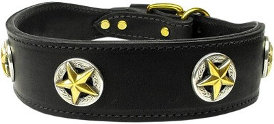 

Mirage Pet Products Dog Everyday Collar(, Black
