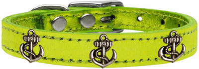 

Mirage Pet Products Dog Everyday Collar(, Lime Green