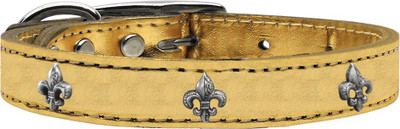 

Mirage Pet Products Dog Everyday Collar(, Gold
