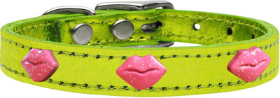 

Mirage Pet Products Dog Everyday Collar(, Lime Green