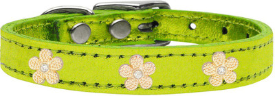 

Mirage Pet Products Dog Everyday Collar(, Lime Green