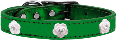 

Mirage Pet Products Dog Everyday Collar(, Emerald Green