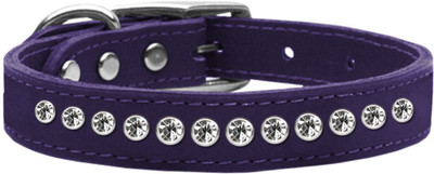 

Mirage Pet Products Dog Everyday Collar(, Purple