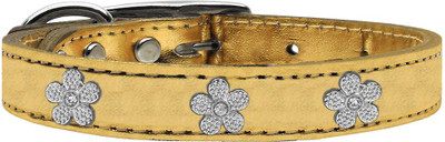 

Mirage Pet Products Dog Everyday Collar(, Gold