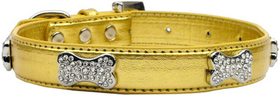 

Mirage Pet Products Dog Everyday Collar(, Gold