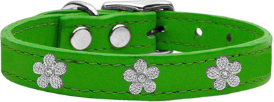 

Mirage Pet Products Dog Everyday Collar(, Emerald Green