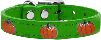 

Mirage Pet Products Dog Everyday Collar(, Emerald Green