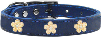 

Mirage Pet Products Dog Everyday Collar(, Blue