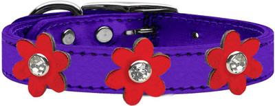 

Mirage Pet Products Dog Everyday Collar(, Purple