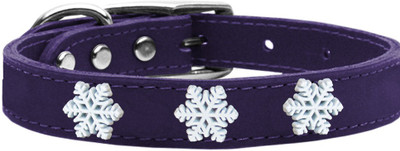 

Mirage Pet Products Dog Everyday Collar(, Purple