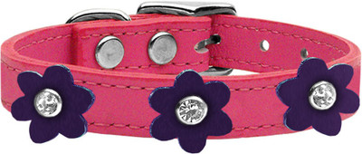 

Mirage Pet Products Dog Everyday Collar(, Purple