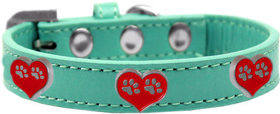

Mirage Pet Products Dog Everyday Collar(, Aqua