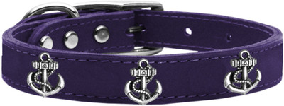 

Mirage Pet Products Dog Everyday Collar(, Purple