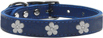 

Mirage Pet Products Dog Everyday Collar(, Blue