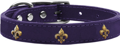 

Mirage Pet Products Dog Everyday Collar(, Purple